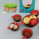 FISH HAFT SEEN SET