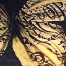 calligraphy painting Butterfly design at night
