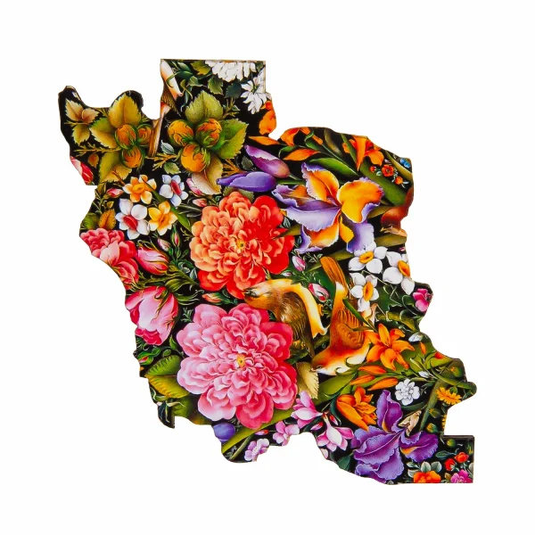Set of 4 Iran Map Coasters