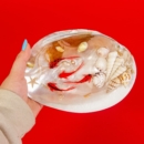 Shell 3d Nowruz Goldfish