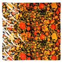 Flower and bird scarf-Persis Collection