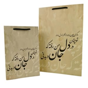 LIFE IN BODY GIFT BAG
