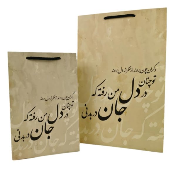 LIFE IN BODY GIFT BAG