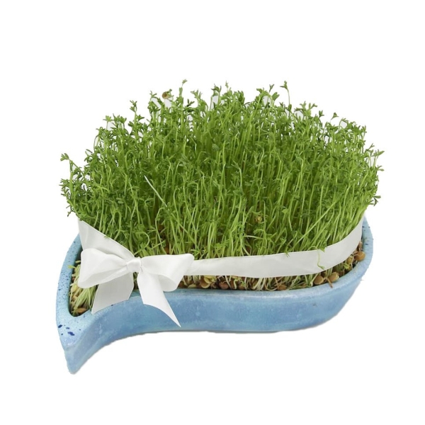 Persian Blue Haft Sin Set
