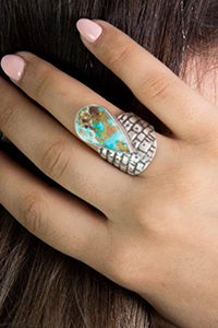 Rings new banner