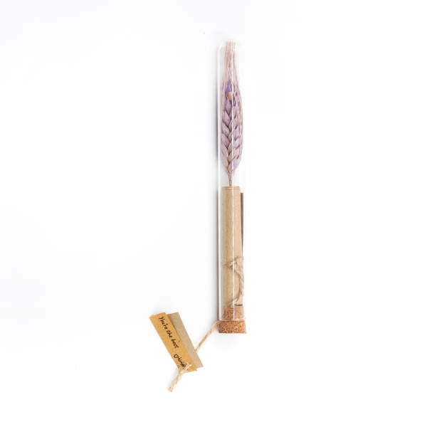 Persian Mom Gift Set – Gold Plated