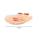 3d Haft Seen Goldfish And Shell