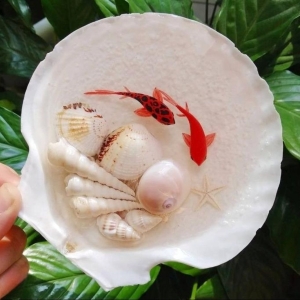 3D Goldfish