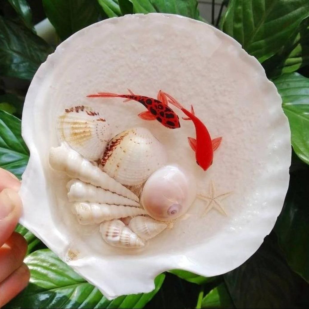 3d Haft Seen Goldfish And Shell