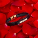 Endless Love - 18k Gold Bracelet and Preserved Rose