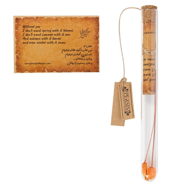 Special Mom’s Gift Set – Gold Plated