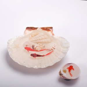 3d Haft Seen Goldfish and Shell
