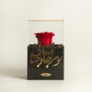 Freedom Love 18k Gold Earrings