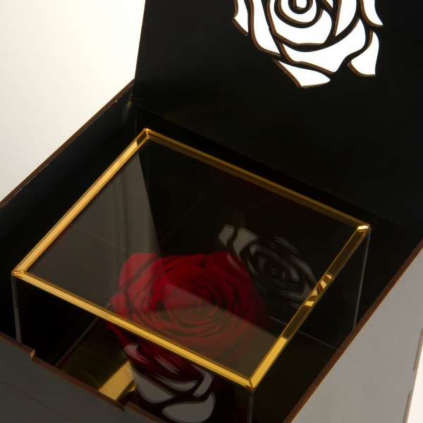 Preserved Rose Freedom Love 18k Gold Earrings