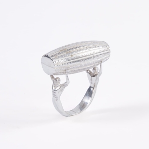 Cyrus Cylinder Seal Ring