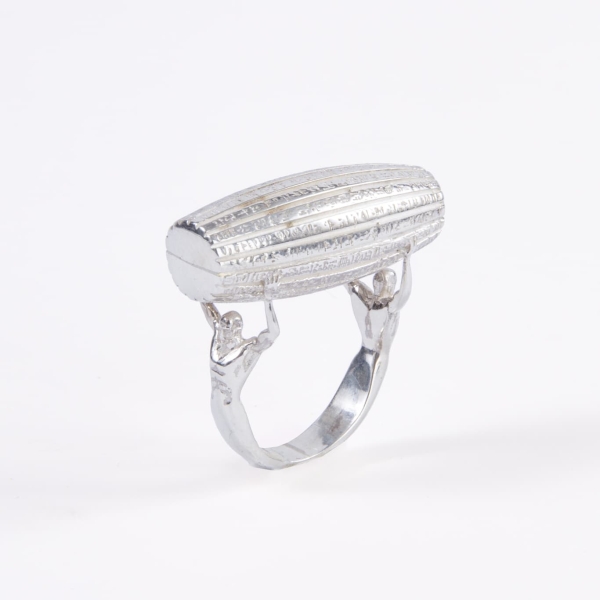 Cyrus Cylinder Seal Ring