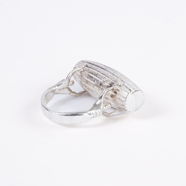 Cyrus Cylinder Seal Ring