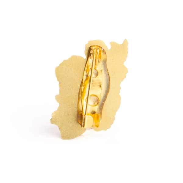 Iran Map Flag Pin Brooch