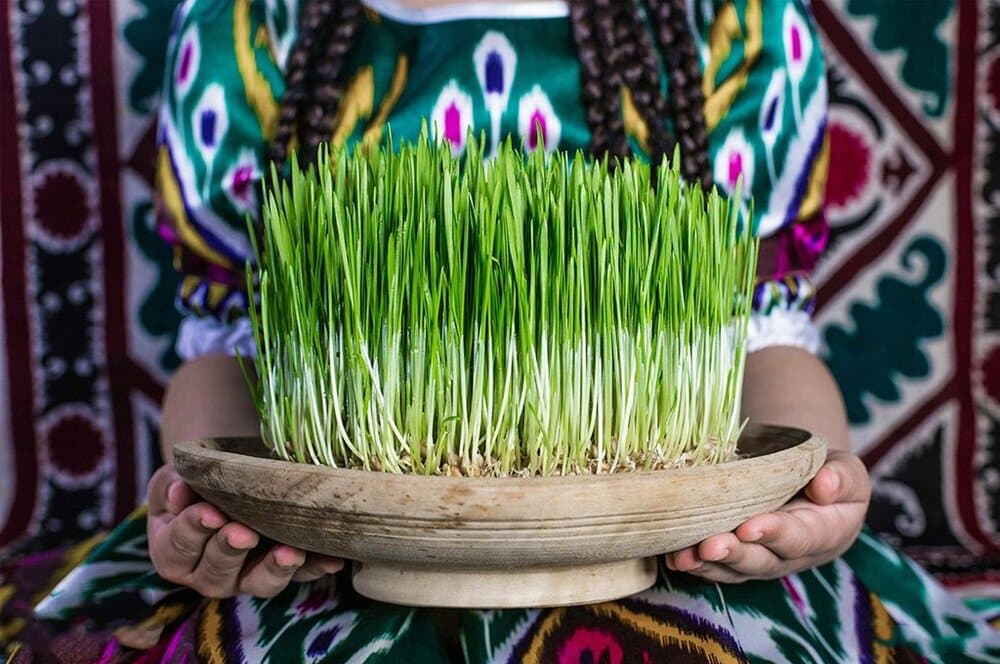 How to Grow Sabzeh for Nowruz