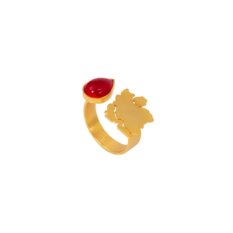 Persian Heritage Ring with Iran Map Design
