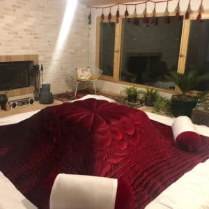Persian Velvet