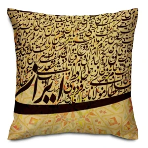 Velvet Cushion