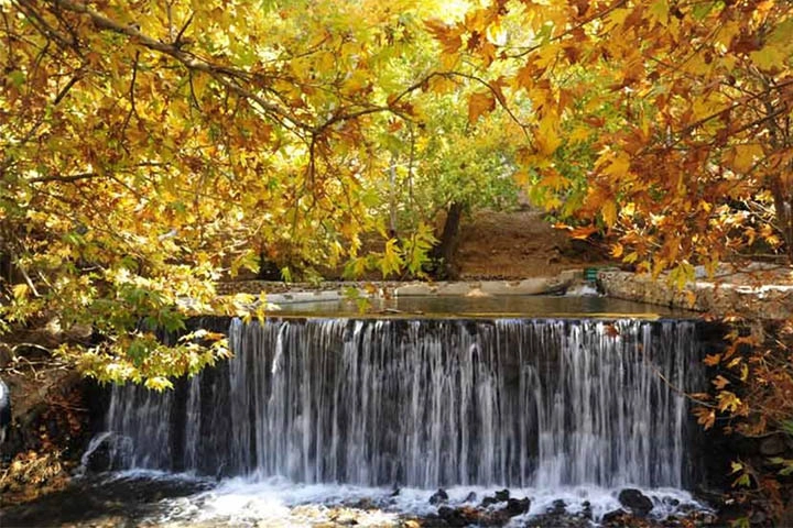 Hamedan-Gian
