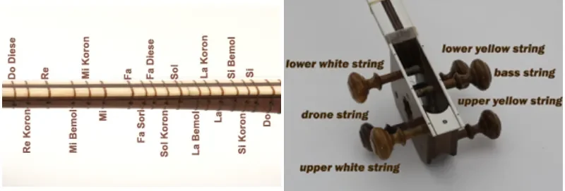 Persian Tar instrument frets and tuning pegs close-up, traditional Persian Tar details