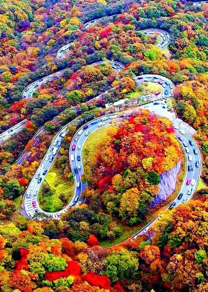 Chalous Road Persian – Scenic mountain drive through forests in Mazandaran province