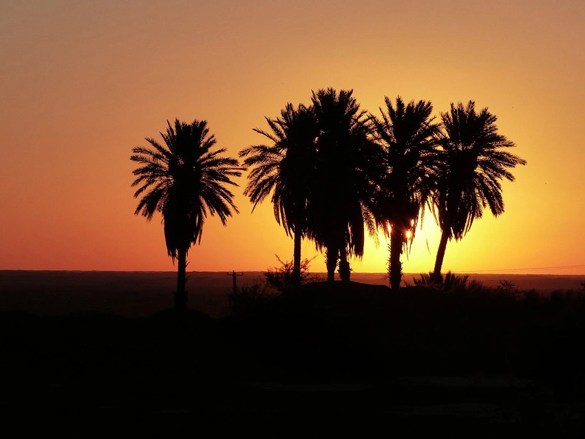 Bushehr