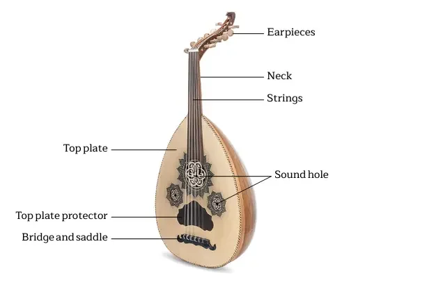 The Neck and Strings of the Oud
